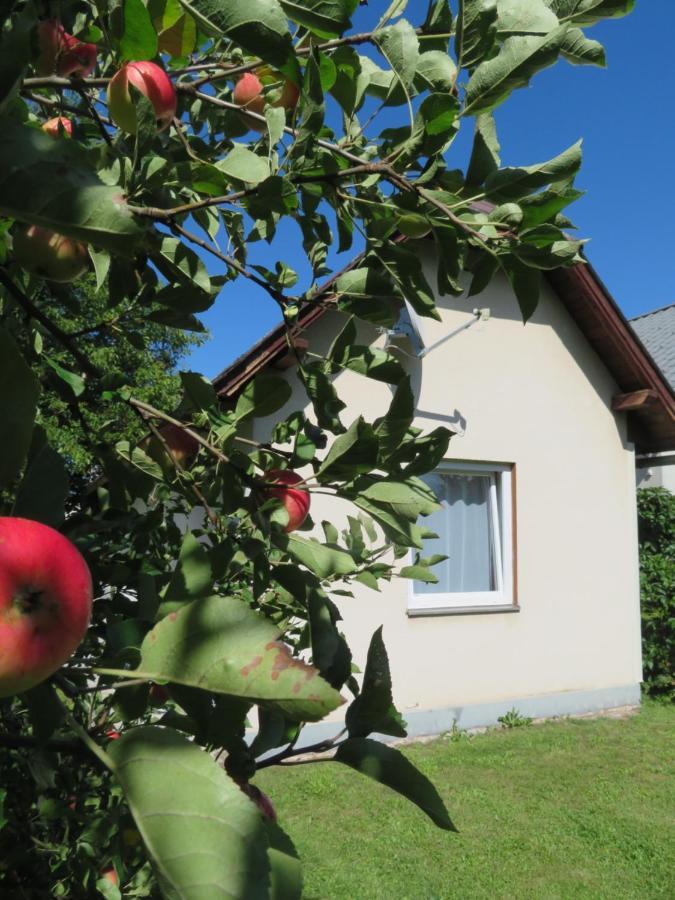 Haus Irmi Bed & Breakfast Knittelfeld Eksteriør bilde